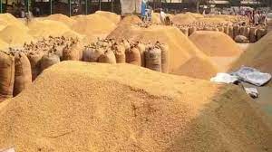 Purchase of Paddy: Chhattisgarh moving towards record paddy purchase... 134 lakh metric tons of paddy purchased till now